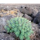 우도농장 이미지