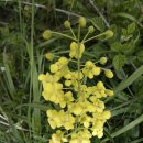 일오삼민박 이미지