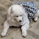 장위동유성집(포천점) 이미지