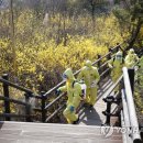 개나리공원 화장실 이미지