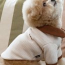 카라인 용품점 이미지