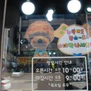 누렁이도찰스로애견샵