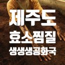생생생공화국 | 제주시청 편백톱밥효소찜질 추천 &#39;생생생공화국&#39;