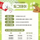 도그필드 이미지