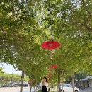 T7 HOTEL | 치앙마이 2주살이 숙소 트래블로지 님만 Traveloge Nimman 후기