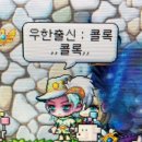 메이플 이미지