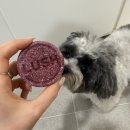 제이슨 | 러쉬 샴푸바_제이슨 앤 더 아르간 오일_솔직후기