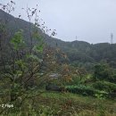 운문골마실길 이미지