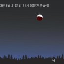 월하 티스토리