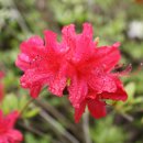 서해삼육고등학교 이미지