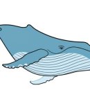 대덕메디칼 이미지