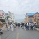 금해 | [웨이하이 여행] 화거8가 인파 피해 찾은 인생샷 카페! 북방교자왕 & 금해만잔교 히든 스팟