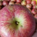 하이크린 이미지