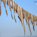 행복한관광여행사 이미지
