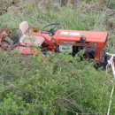 한반동농장 이미지