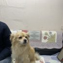 공임나라 만수점 이미지