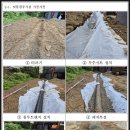 쓰리엘컨설팅 이미지