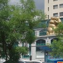 인영약국 이미지