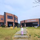 나를 만나는 모험 | 어린이 뮤지컬 꿀벌 마야의 모험, 40개월 5세 아이랑 관람 후기, 용인 넓은 마당 있는 브런치카페 추천