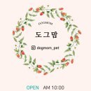 도그맘애견 이미지