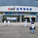용인대영천태권도