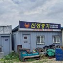신성중기 이미지