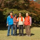 지례초교 이미지