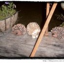 연지한정식 이미지