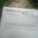 전일고철 | 혼자 광주여행 :: 양림마을, 펭귄마을, 전일빌딩, 궁전제과