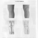 하지부-무릎관절 주변 혈위(첨부-어머님의 퇴행성 무릎 관절염치료 임상례) 이미지