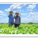 대농농장 이미지