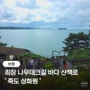 지에스(GS)25 보령오천항점 | 섬 전체가 정원인 특별한 여행지, 죽도 상화원 보령 비올 때 가볼 만한 곳