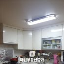 한신스포렉스 이미지