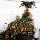 동래역_부산1호선 이미지