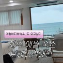 애월뷰 | 제주 애월 바다뷰숙소 보헤미안애월 | 내돈내산 대만족후기