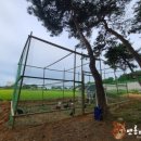 꼬꼬놀이터 이미지