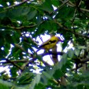 선바위농장 이미지