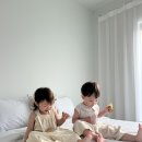 8그램 스파＆풀빌라 키즈펜션 이미지