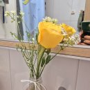 &#34;뮤지컬 알라딘&#34; 초호화캐스팅 &lt;시아준수 정성화 이성경&gt; 샤롯데2층관람후기