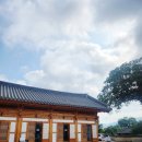 낭주원