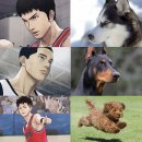 안경선생 이미지