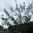 해뜬농장 이미지