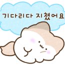 동해형씨