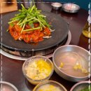 쭈꾸미도사 이미지