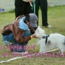 스카이개슬 이미지