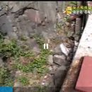 장림2동-6 이미지