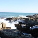 해수랜드 이미지