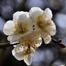 우리친구 이미지