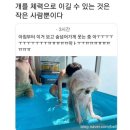 A1 GYM | [day 6-1] 여행가서 크로스핏 드랍인을 할줄이야