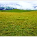 차령산맥 이미지